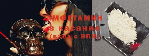 гидра Инсар