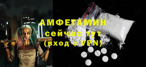 гидра Инсар