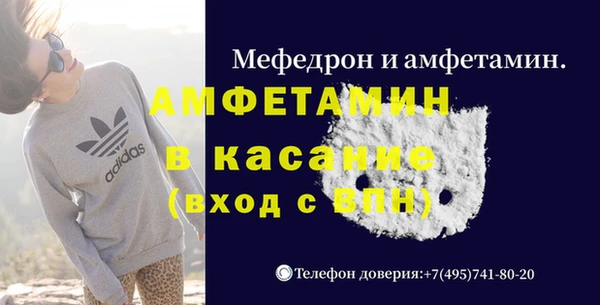 гидра Инсар