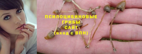 а пвп мука Инта