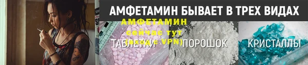 гидра Инсар