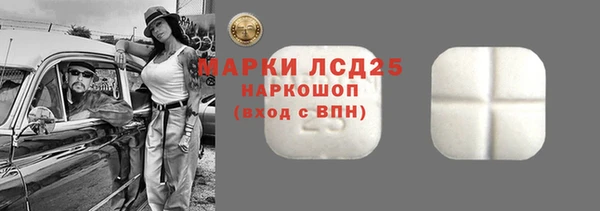 гидра Инсар