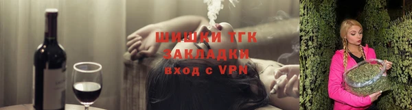 гидра Инсар