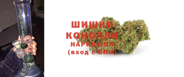 гидра Инсар