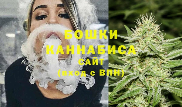 гидра Инсар