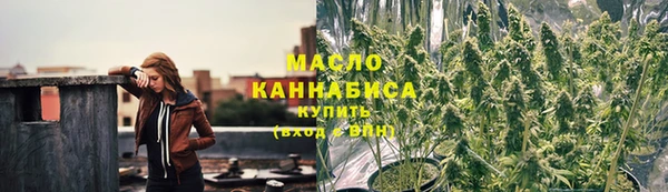 гидра Инсар