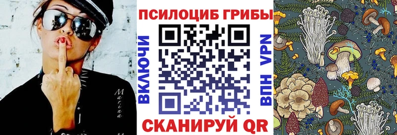 Псилоцибиновые грибы мухоморы  Купить закладки  Змеиногорск 